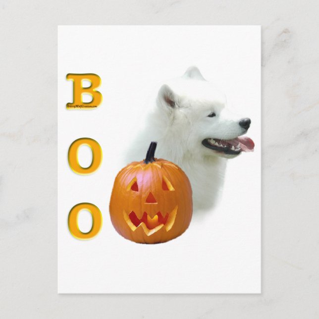 Samoyed Boo Postkarte (Vorderseite)