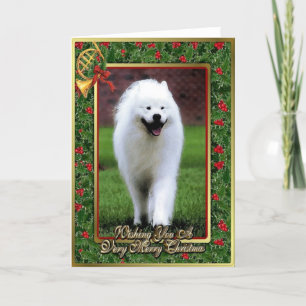 Samoyed Chien Blank Carte de Noël