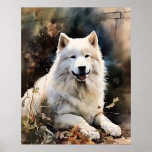 Samoyed Dog Art Print Poster