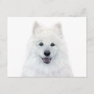 Samoyed dog by miart original painting postkarte