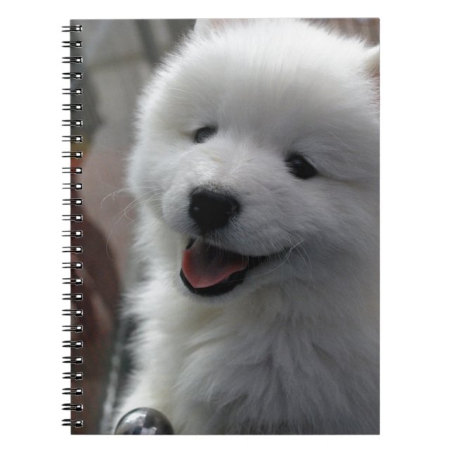 Samoyed Dog Notizblock (Vorderseite)