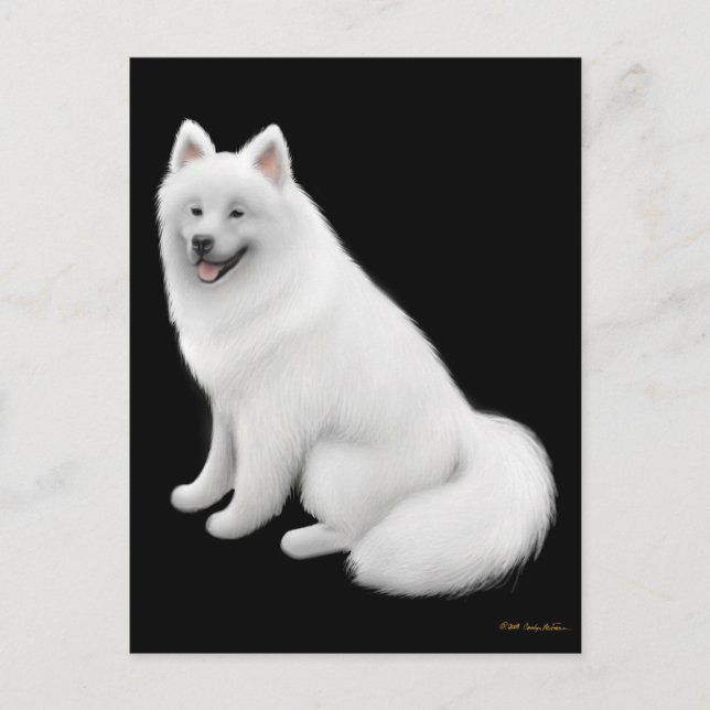 Samoyed Dog Postcard Postkarte (Vorderseite)