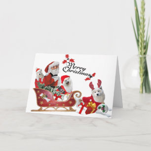 Samoyed et Père Noël dans les cartes Sleigh