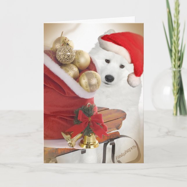 Samoyed Friends Rodelbahn Karte (Vorderseite)