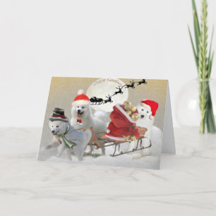 Samoyed Friends Sledding Cartes