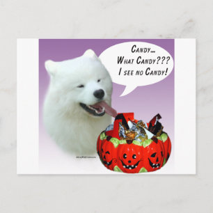 Samoyed Halloween Candy Postkarte