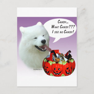 Samoyed Halloween Candy Postkarte