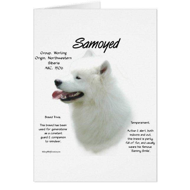 Samoyed History Design (Vorne)
