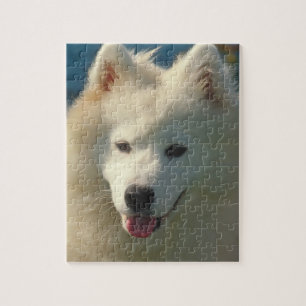 Samoyed-Hundepuzzlespiel