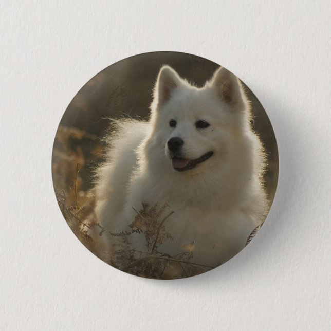 Samoyed-Hundezucht-rundes Button (Vorderseite)