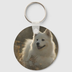 Samoyed-Hundezucht-Schlüsselanhänger Schlüsselanhänger