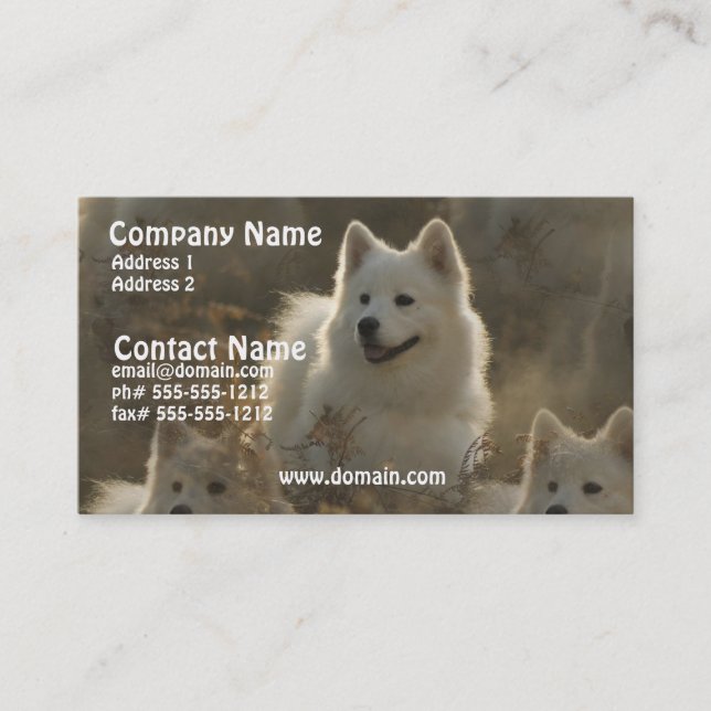 Samoyed-Hundezucht-Visitenkarte Visitenkarte (Vorderseite)