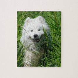 Samoyed im Gras-Puzzlespiel