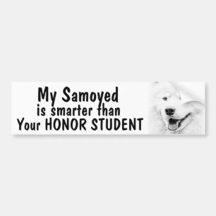 Samoyed intelligenter als der Ehrenstudent - Autoaufkleber