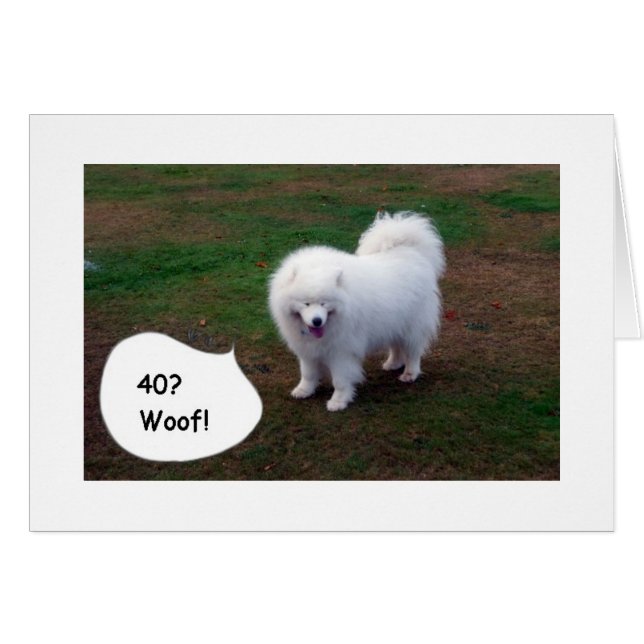 SAMOYED KANN DICH NUR NICHT GLAUBEN40! WOVON! (Vorderseite (Horizontal))