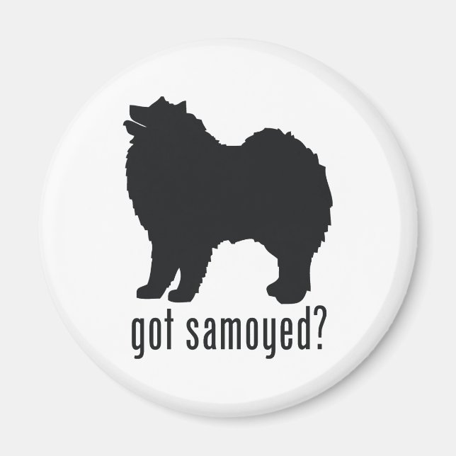 samoyed magnet (Vorne)