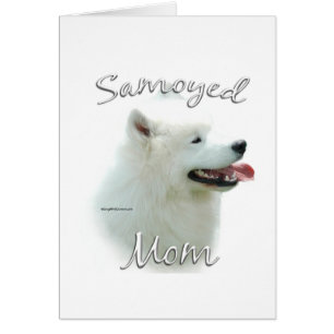 Samoyed Maman 2