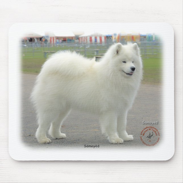 Samoyed Mousepad (Vorne)