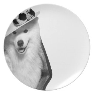 Samoyed Plate Teller