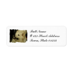 Samoyed Puppy Adresse de retour Étiquette de courr