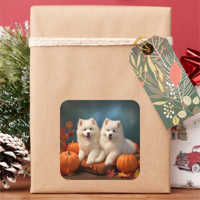 Samoyed Puppy Autumn Delight Pumpen Quadratischer Aufkleber (Feiertag)
