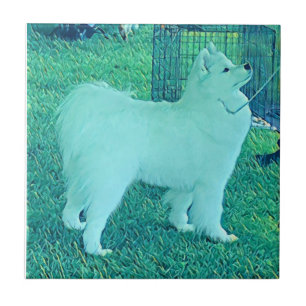 Samoyed Puppy-Keramik Fliese