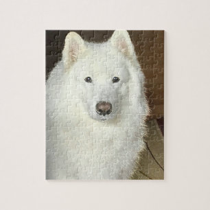 Samoyed-Puzzlespiel