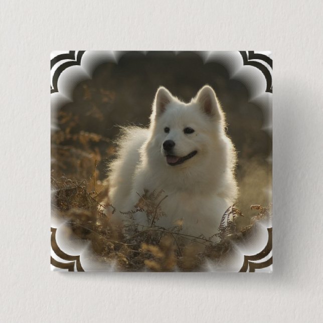 Samoyed-quadratisches Button (Vorderseite)