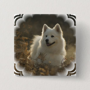 Samoyed-quadratisches Button