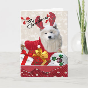 Samoyed Reindeer Frohe Weihnachtskarten Feiertagskarte