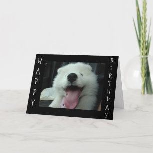 SAMOYED SAYS RETT MIR CAKE/I LIEBE U GEBURTSTAG WI KARTE