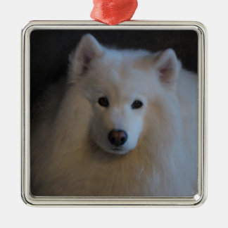 Samoyed Silbernes Ornament