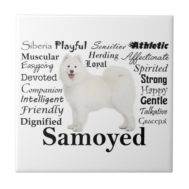 Samoyed Tracks Keramik Tile Fliese (Vorderseite)