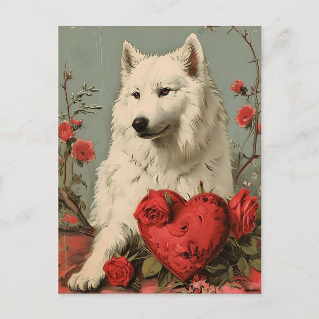 Samoyed Vintag Valentinstag Postkarte (Vorderseite)
