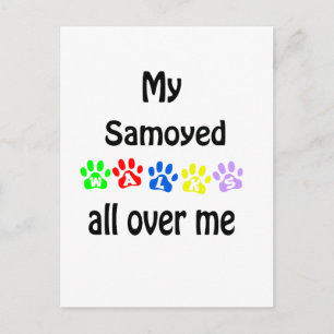 Samoyed Walks Design Postkarte