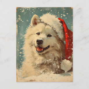 Samoyed Weihnachten Postkarte