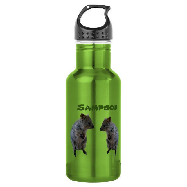 Sampsonname mit Aussie Quokkas, Wasserflasche (Vorderseite)