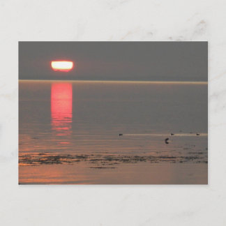 Samsø Island Denmark Photo Colette July 2009 Postkarte