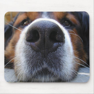 Samson Mousepad