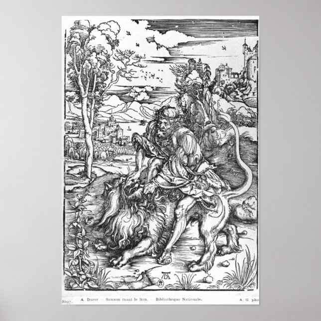 Samson tötet den Löwen, c.1496-98 Poster (Vorne)