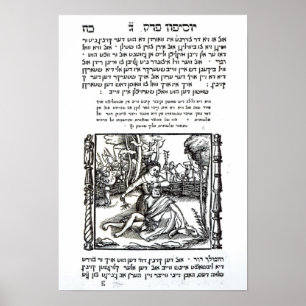 Samson und Delilah Poster