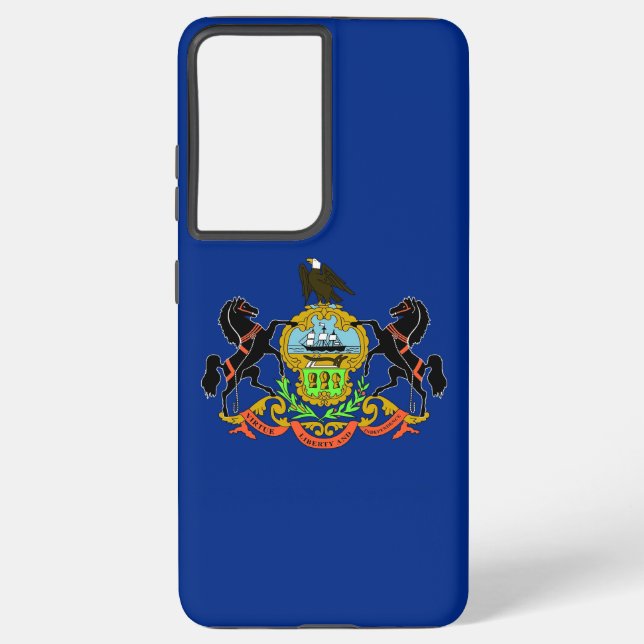Samsung Galaxy S21 Ultra Case Pennsylvania Hülle (Rückseite)