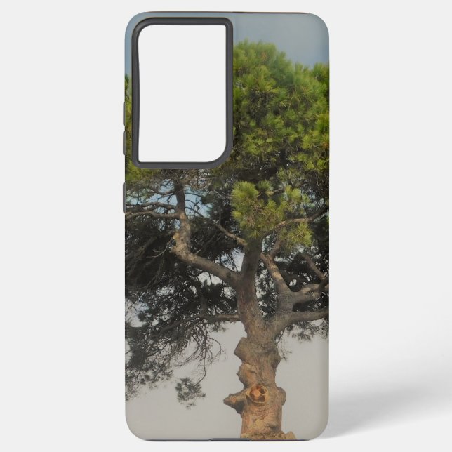 SAMSUNG GALAXY S21 ULTRA FALL COOLE ÖKO HÜLLE (Rückseite)