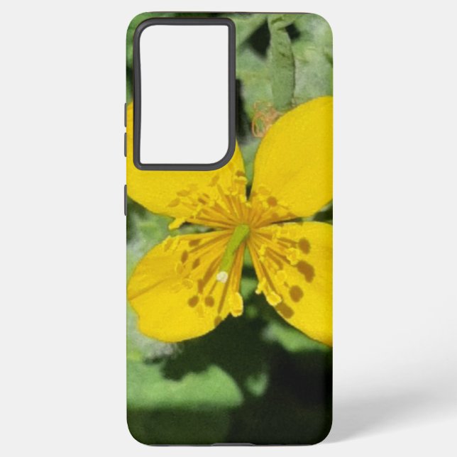 SAMSUNG GALAXY S21 ULTRA FALL COOLE ÖKO SAMSUNG GALAXY HÜLLE (Rückseite)