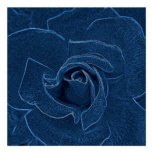samtblaue Rose Poster