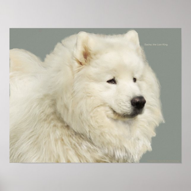 Sämtliche 19" x 13", Archivheavyweight Paper Poster (Vorne)