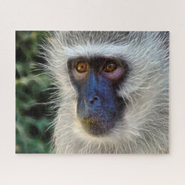 Samtmonkey.