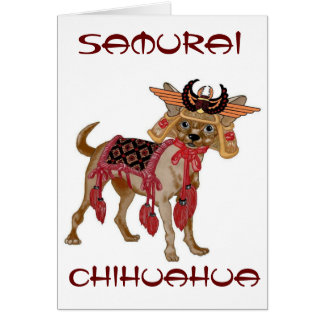 Samurai-Chihuahua