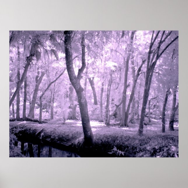 Samurai Forest Poster (Vorne)