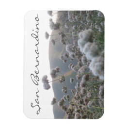 San Bernardino Magnet